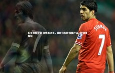 乐鱼体育登录-欧锦赛决赛，西欧及东欧强强对话，欧锦赛视频