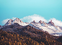 乐鱼体育登录-美洲杯冠军赛今晚打响，精彩比赛即将上演，美洲杯赛2021