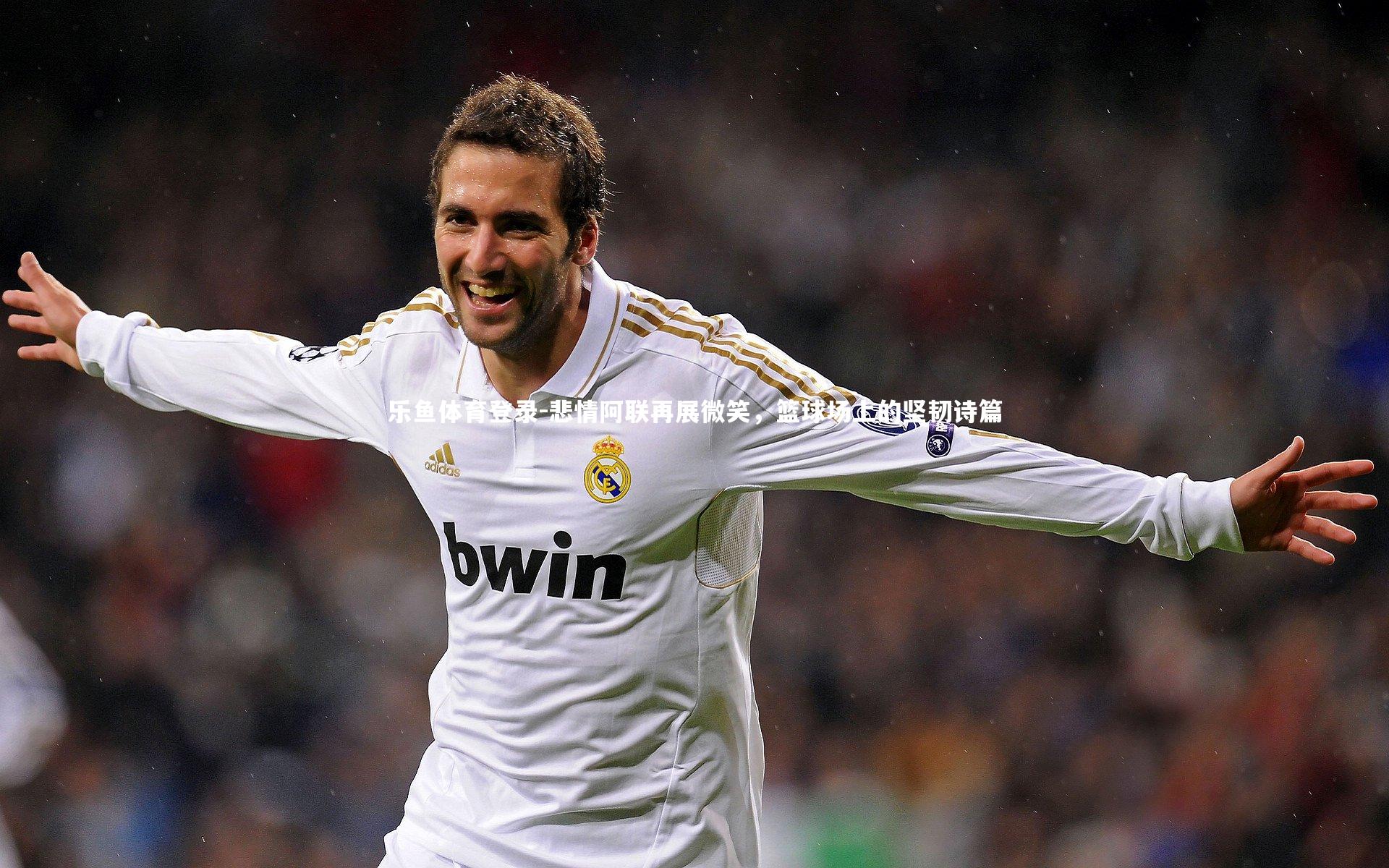 悲情阿联再展微笑，篮球场上的坚韧诗篇